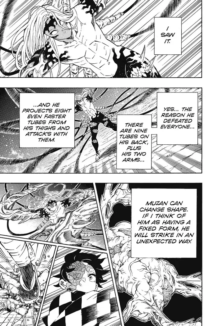 Demon Slayer Chapter 192 image 17_optimized